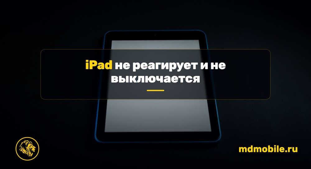 iPad не реагирует и не выключается - ремонт в сервисном центре Md Service