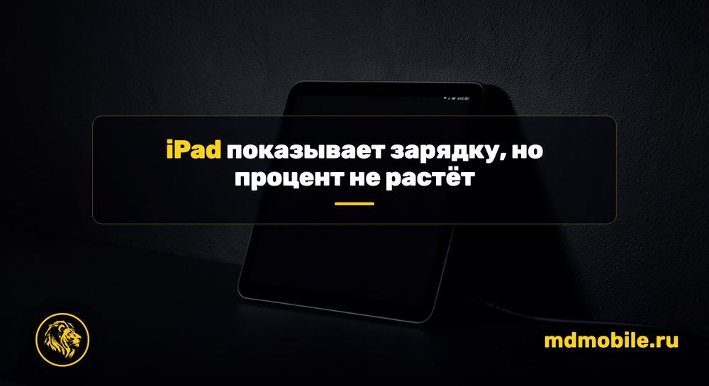 iPad показывает зарядку, но процент не растёт - ремонт в сервисном центре Md Service