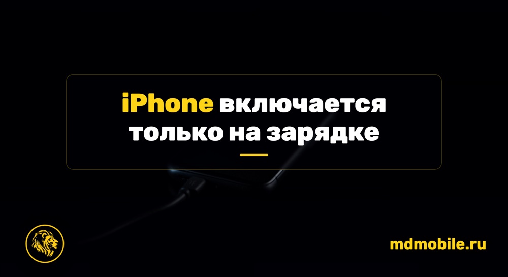 iPhone включается только на зарядке - ремонт iPhone